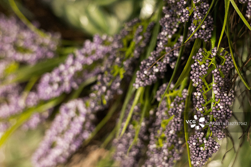 人造薰衣草石南花花圈图片素材