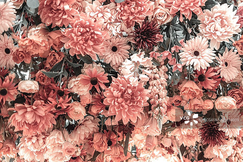 花束完整背景图片素材