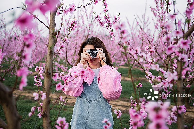 年轻女人用复古相机拍摄盛开的果树图片素材