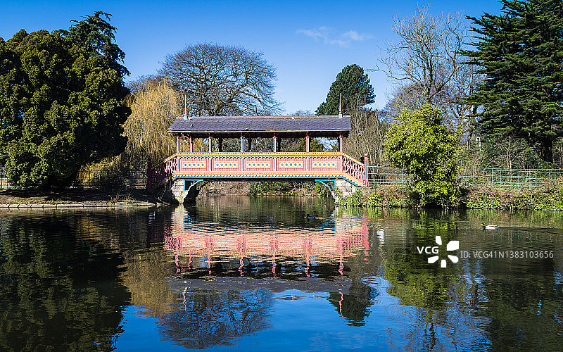 伯肯黑德公园瑞士桥旁的鸭子图片素材