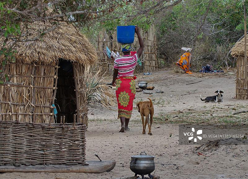 一名妇女带着狗从附近的河里取水到她的棚屋，加沙省，莫桑比克图片素材