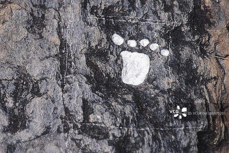 委内瑞拉卡拉沃沃州圣埃斯特万国家公园的岩画遗址图片素材