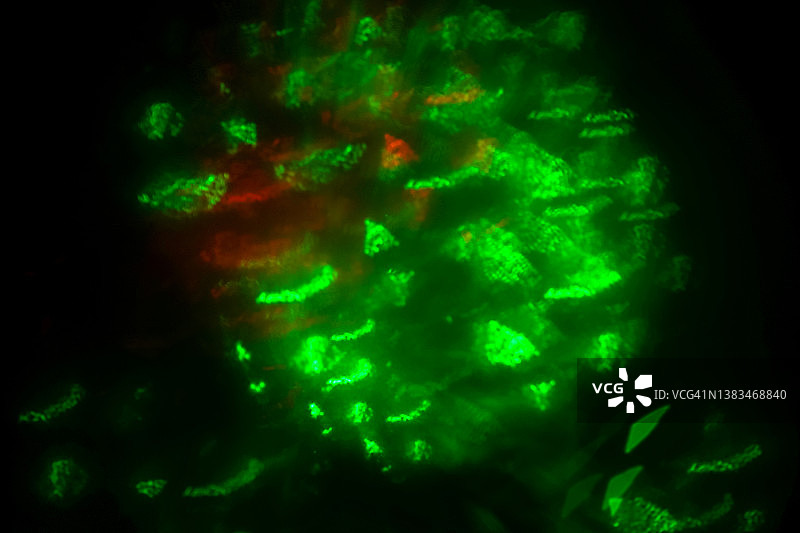 光芒四射的抽象背景图片素材