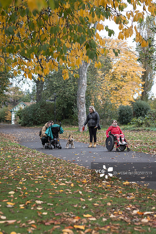 全家一起遛狗图片素材