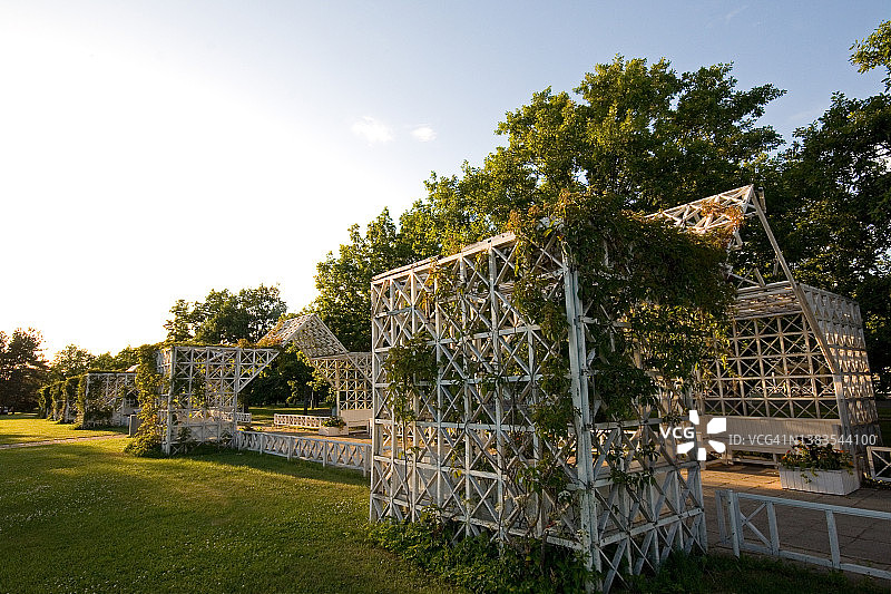 阳光明媚的夏日，爱沙尼亚派尔努海滩公园覆盖藤蔓的木制凉棚图片素材