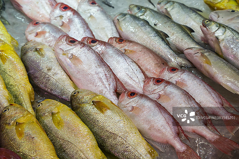 中国香港湿货市场出售的各种鱼类特写图片素材