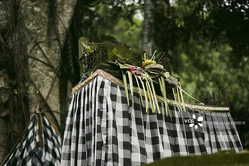 巴厘岛乌布村树下神像的祭品图片素材