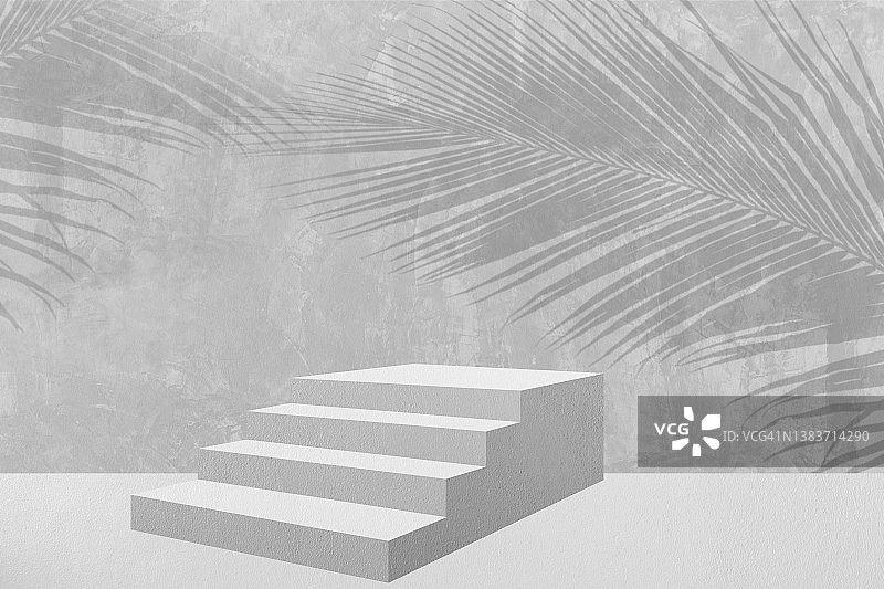 混凝土墙上棕榈树的阴影和梯子图片素材
