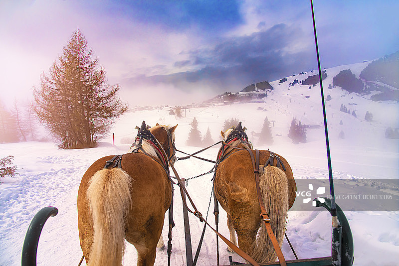 冬日漫游图片素材