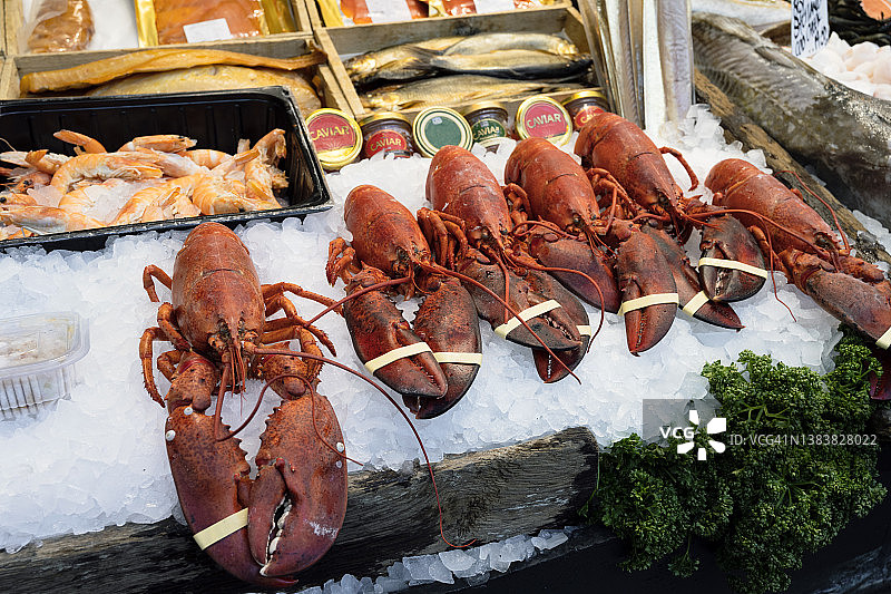 海鲜市场待售的龙虾图片素材