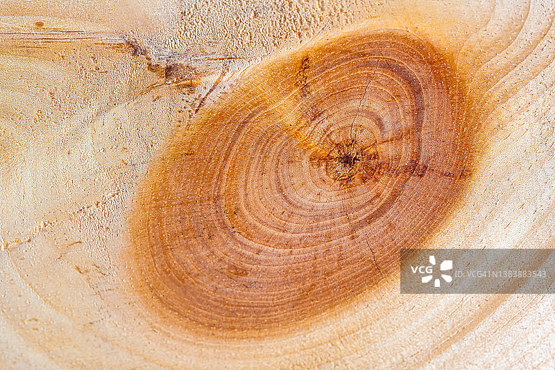 木头的背景图片素材