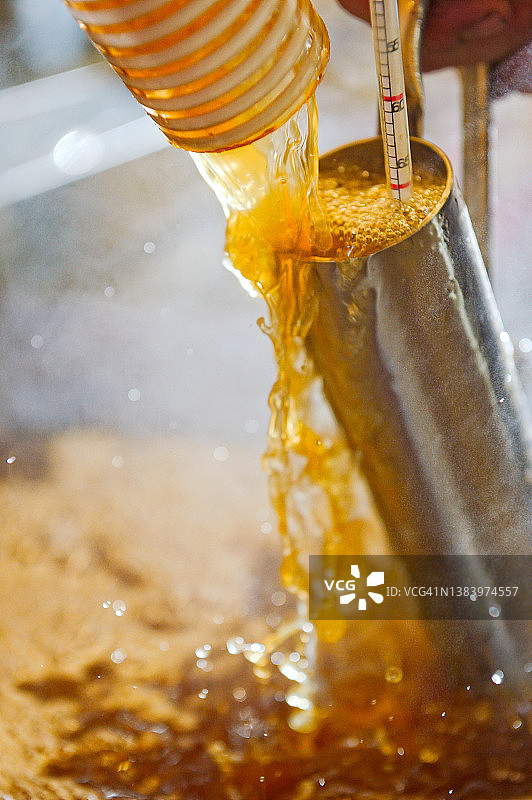 使用比重计测试枫糖浆图片素材