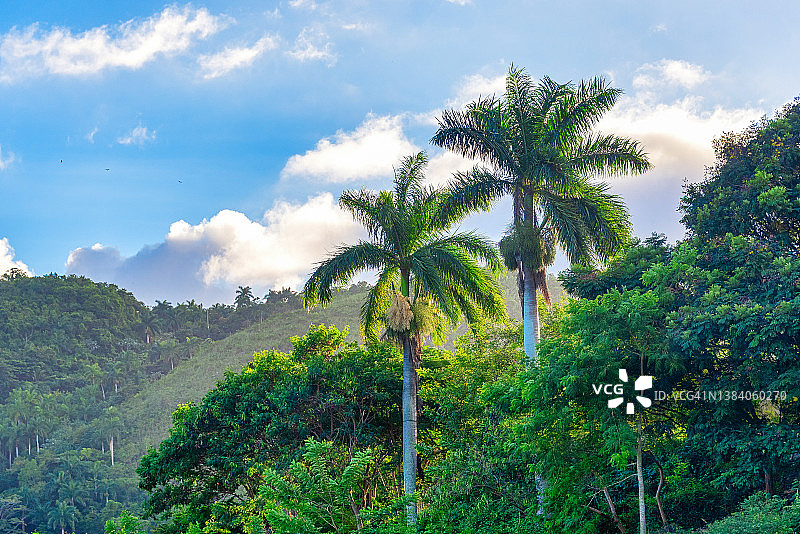 哈纳巴尼利亚热带风光图片素材