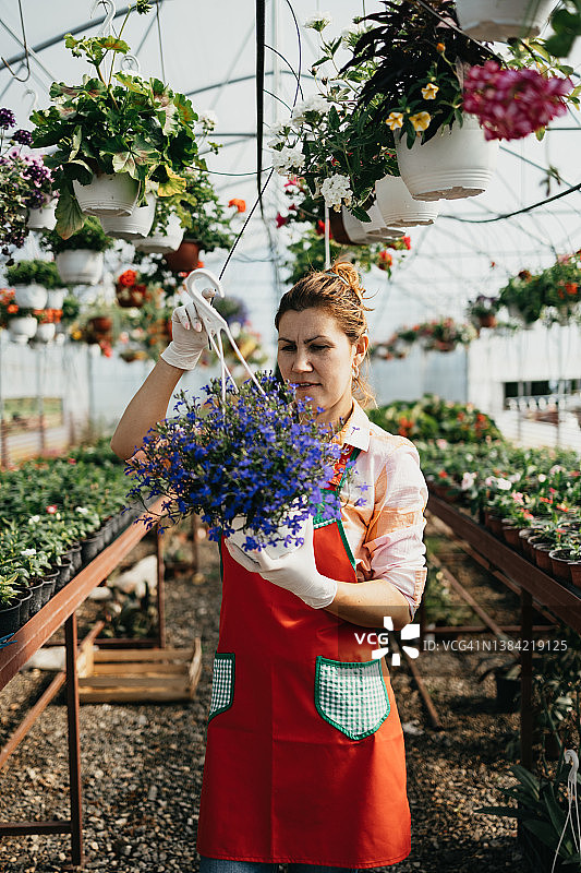 在温室工作的妇女图片素材