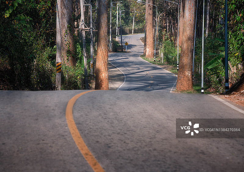 穿过林荫道的乡村小路图片素材
