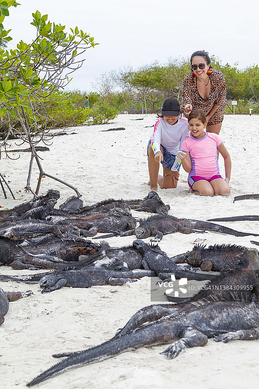 在厄瓜多尔加拉帕戈斯群岛，一群拉丁裔少女和她们年轻漂亮的母亲在海湾欣赏野生动物和鬣蜥图片素材