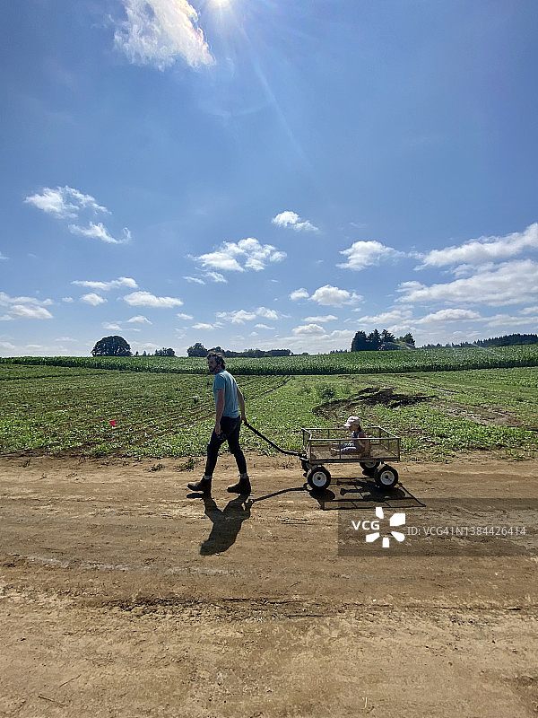 在俄勒冈州索维岛的蓝天下，父亲夏天用农用货车拉着他的孩子去采摘新鲜浆果图片素材
