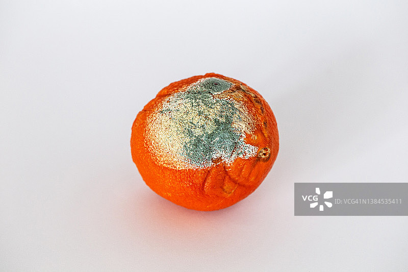 发霉的橘子图片素材