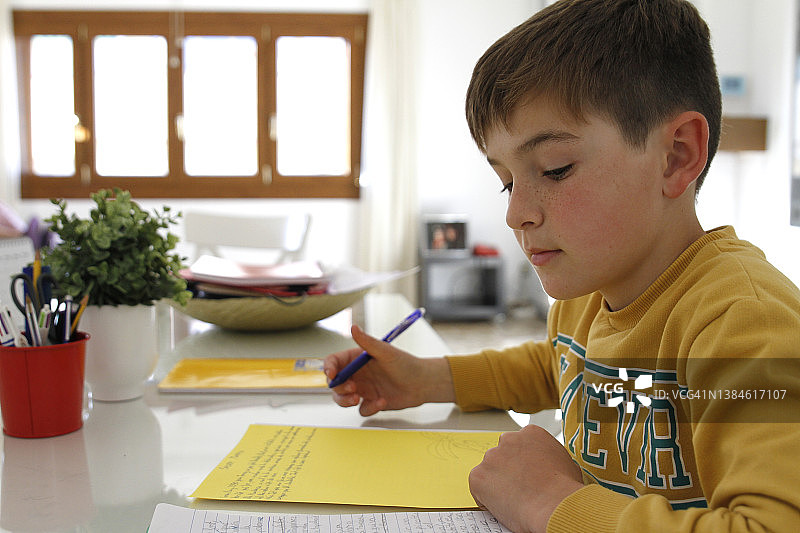 男孩做作业图片素材