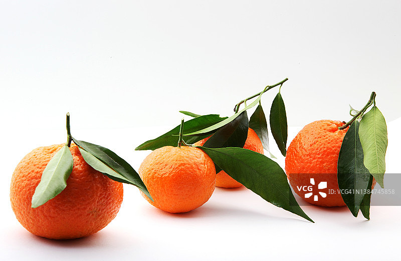 柑橘图片素材