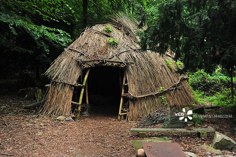 森林中的原始小屋图片素材