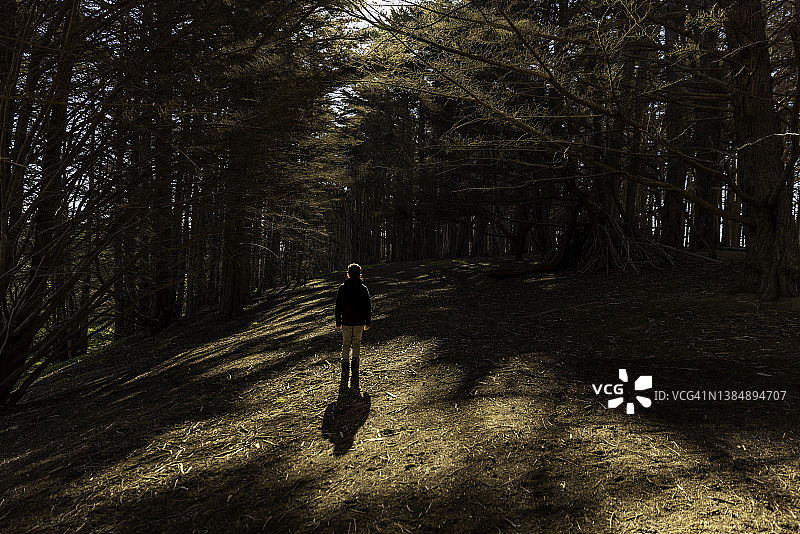 男孩探索自然世界图片素材