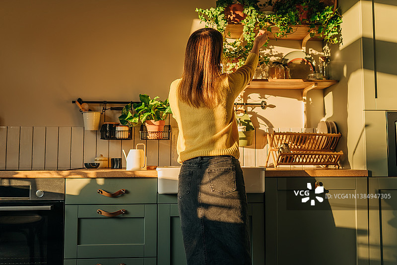 家庭园艺：女人在家照料绿色植物，室内盆栽植物banner图片素材