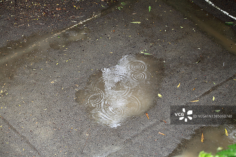 雨中水坑图片素材
