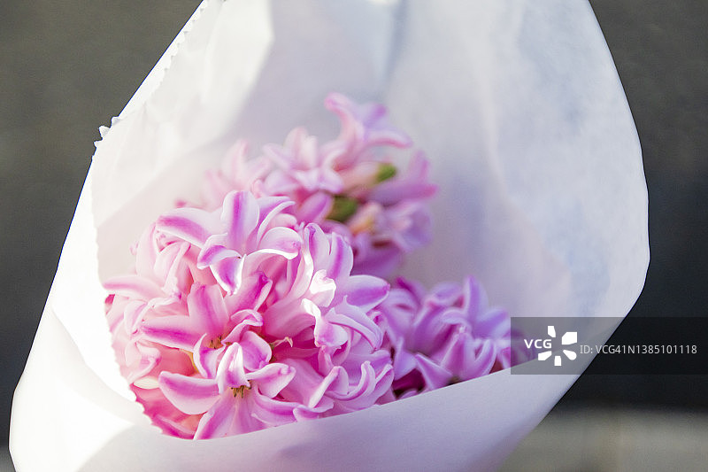 粉色风信子白色包装花束图片素材