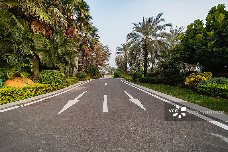 沥青路和路边的树图片素材