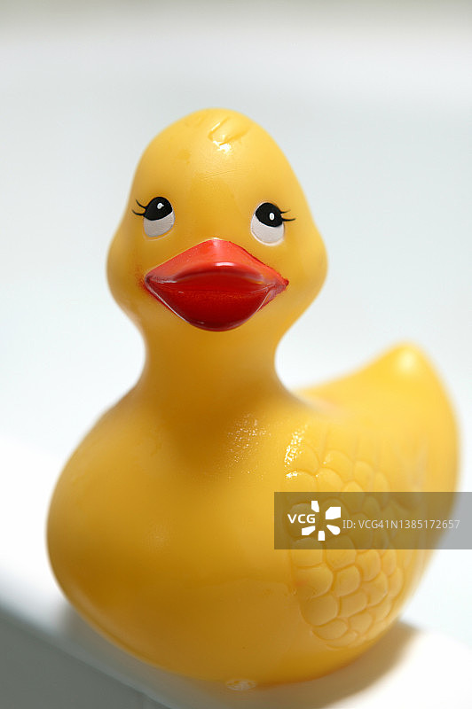 橡皮鸭图片素材