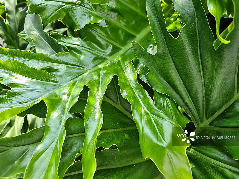 33号花园图片素材