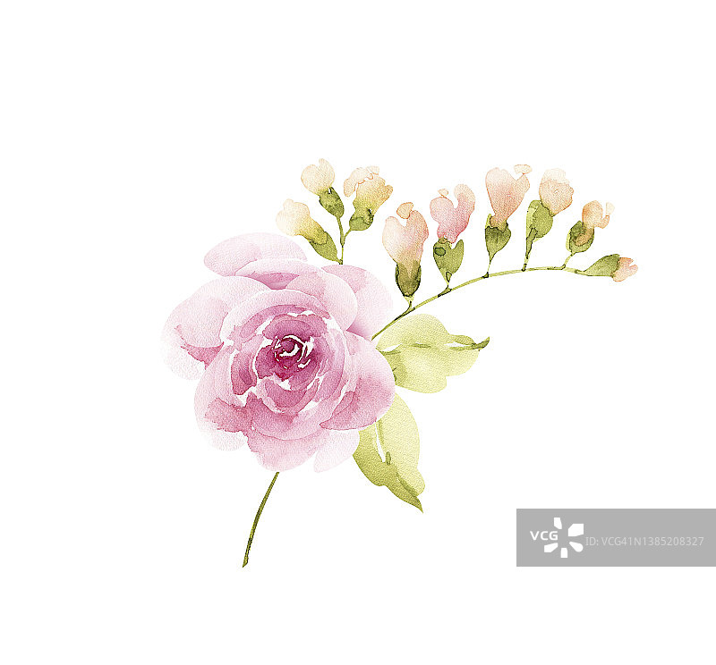 白色背景上的粉色花卉和植物花束，手绘图片素材