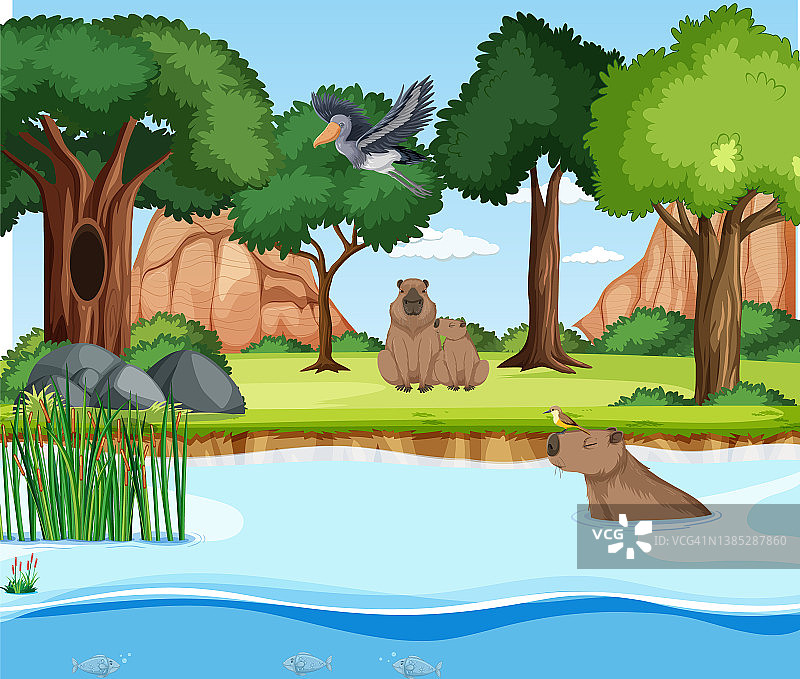 森林中野生动物的场景图片素材