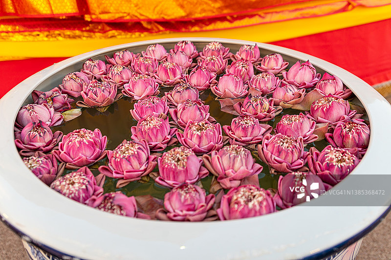 泰国曼谷金山寺的花卉图片素材