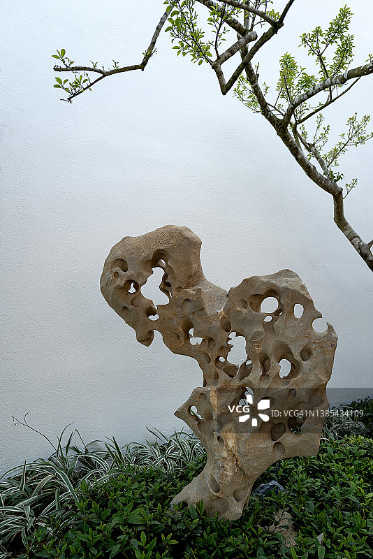 观赏植物与装饰石图片素材