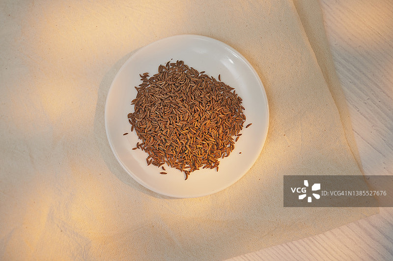 香菜籽图片素材