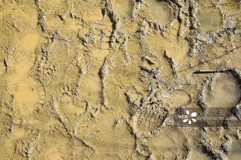 泥泞中的脚印图片素材