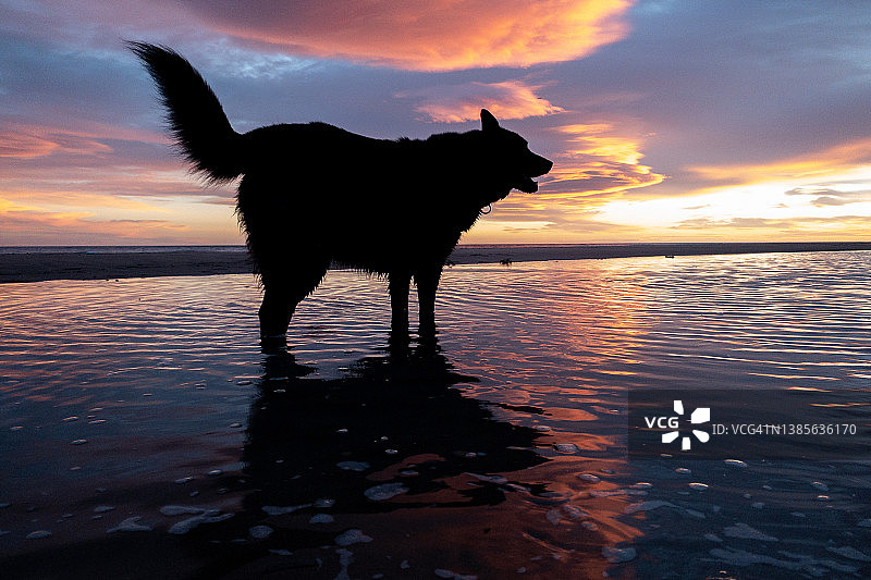 日落时分的湖泊图片素材