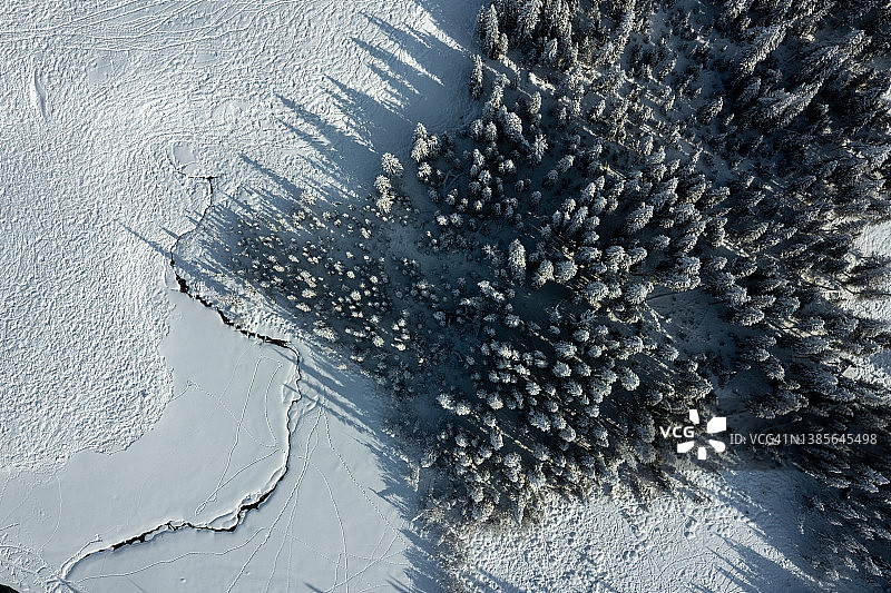 冬季针叶林航拍图片素材