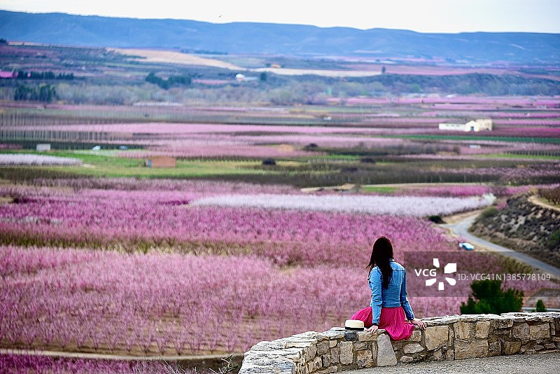 西班牙加泰罗尼亚艾托纳的粉色田野图片素材