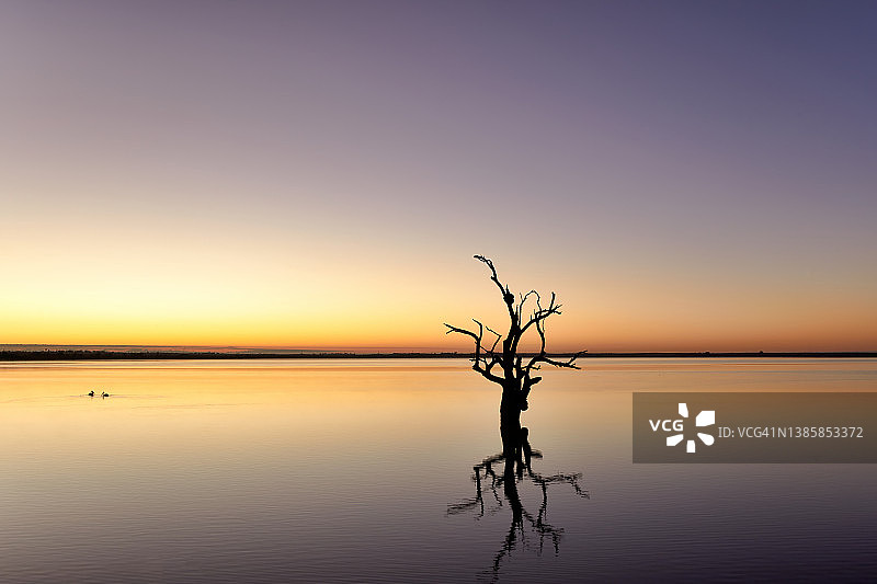 邦尼湖，南澳大利亚图片素材