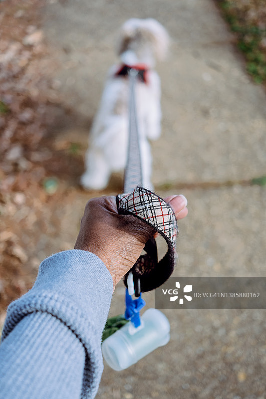 女子遛狗图片素材