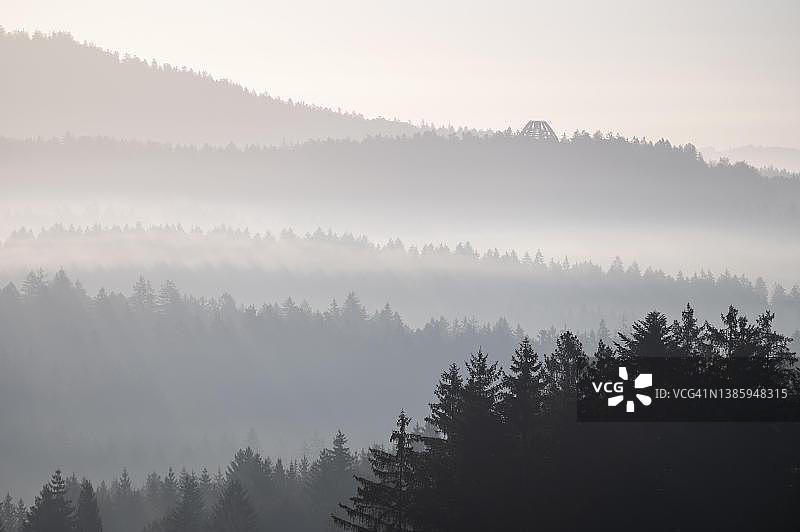 德国巴伐利亚森林的清晨薄雾图片素材
