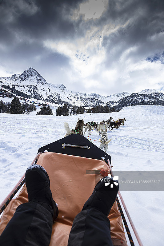 在Grandvalira滑雪站滑雪橇的狗狗（安道尔）图片素材