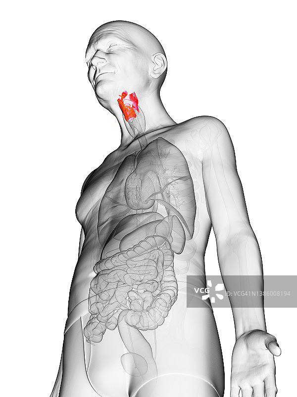 老年男人的喉部，插图图片素材