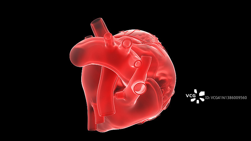 人类的心,说明图片素材