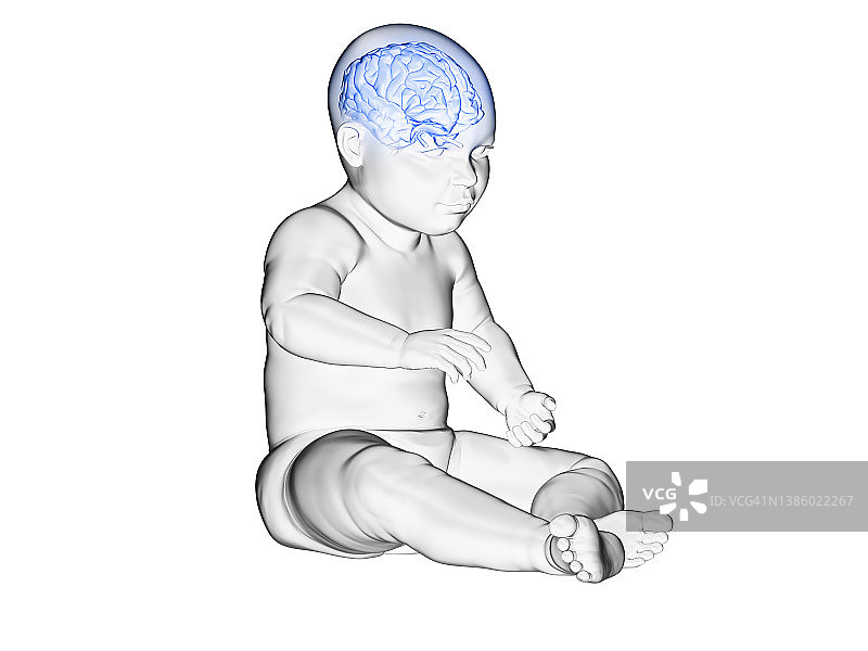 婴儿大脑插画图片素材