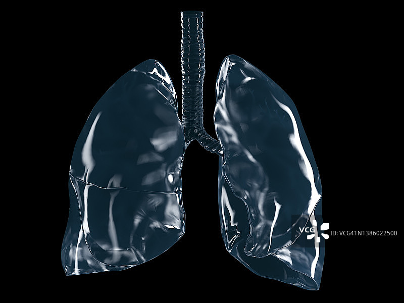 肺、插图图片素材