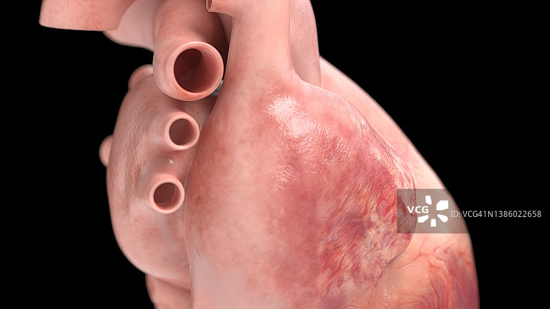 人类的心,说明图片素材